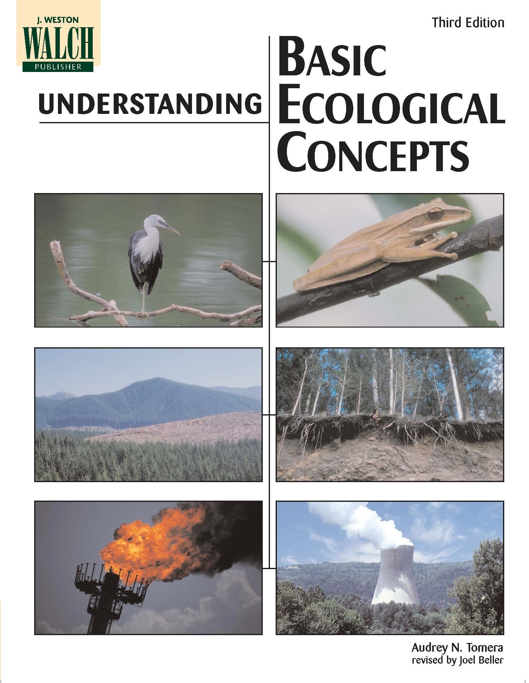 Understanding Basic Ecological Concepts