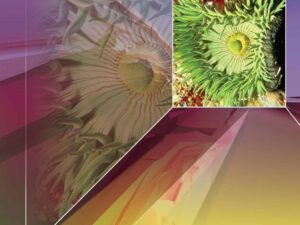 Power Basics: Biology, Student Workbook