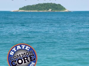 Building Math for Common Core State Standards: Stranded!