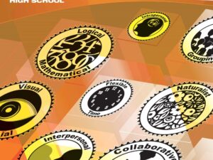 Differentiated Instruction for Language Arts: Grades 9-12