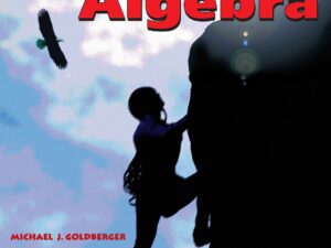You Can Do It! The Guide to Algebra